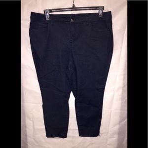 LANE BRYANT Dark Denim 20 Jean